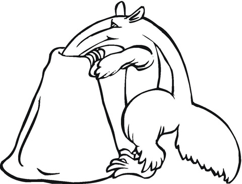 Anteater Is Looking For Food Coloring Page